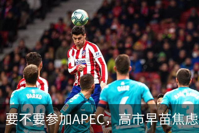 要不要参加APEC，高市早苗焦虑到抓耳挠腮